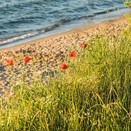 Plaza48 Apartament Gdańsk