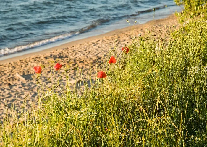 Plaza48 Apartment Gdansk